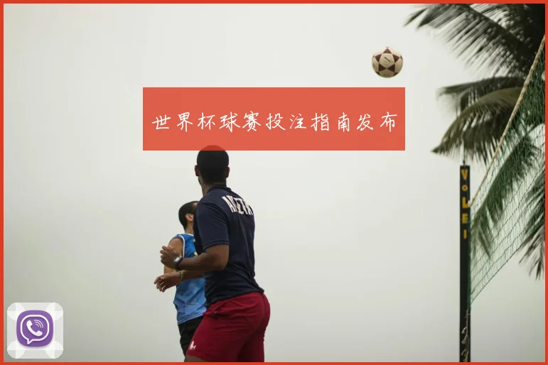 世界杯球赛投注指南发布