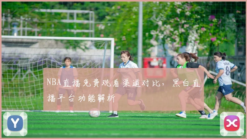 NBA直播免费观看渠道对比,黑白直播平台功能解析