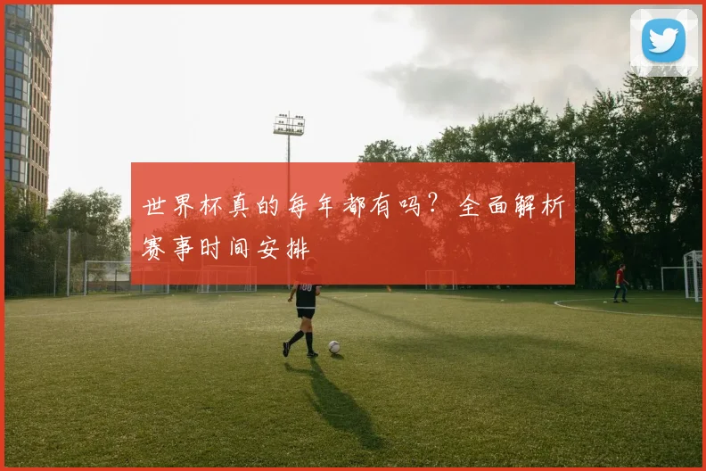 世界杯真的每年都有吗？全面解析赛事时间安排
