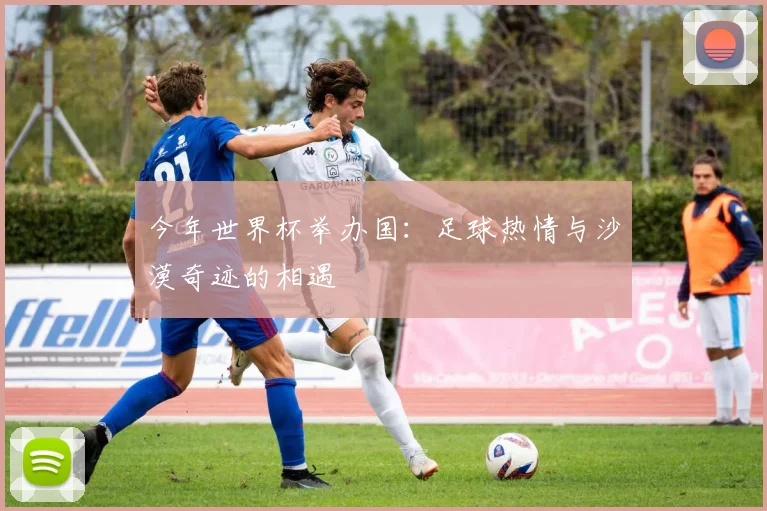 今年世界杯举办国：足球热情与沙漠奇迹的相遇