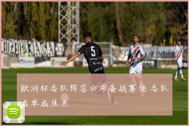 欧洲杯各队阵容公布备战赛场 各队名单成焦点