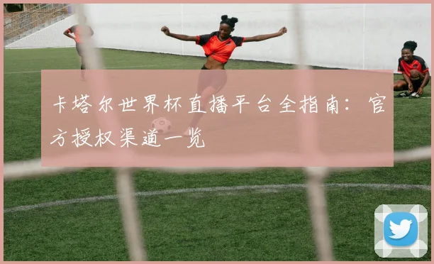 卡塔尔世界杯直播平台全指南：官方授权渠道一览