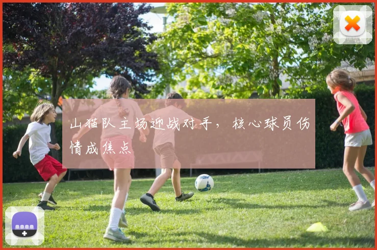 山猫队主场迎战对手，核心球员伤情成焦点
