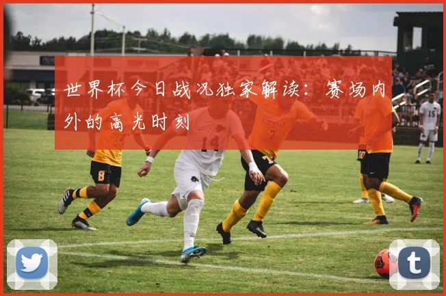世界杯今日战况独家解读:赛场内外的高光时刻
