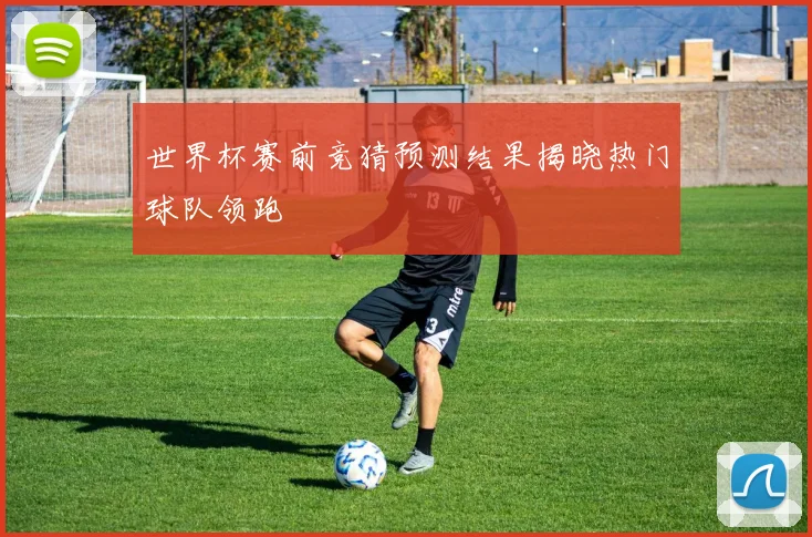 世界杯赛前竞猜预测结果揭晓热门球队领跑