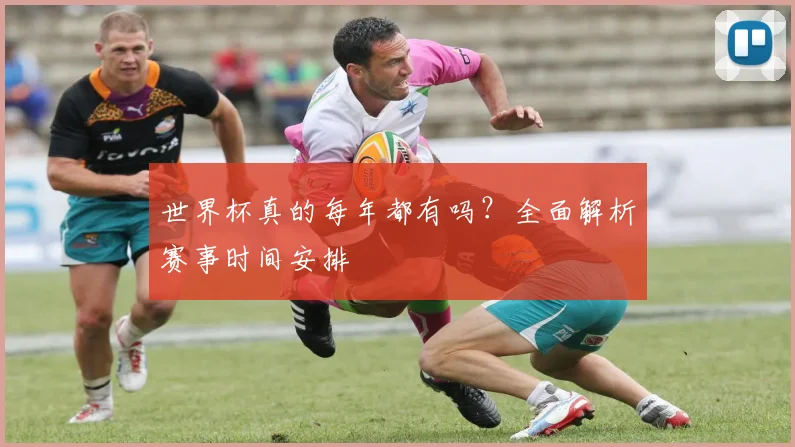 世界杯真的每年都有吗？全面解析赛事时间安排