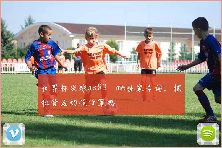 世界杯买球as83婰me独家专访：揭秘背后的投注策略