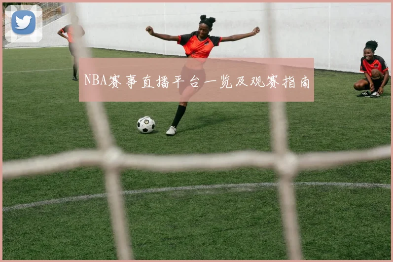 NBA赛事直播平台一览及观赛指南