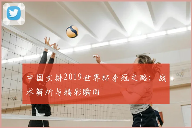 中国女排2019世界杯夺冠之路：战术解析与精彩瞬间