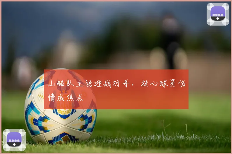山猫队主场迎战对手，核心球员伤情成焦点