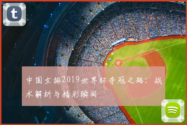 中国女排2019世界杯夺冠之路：战术解析与精彩瞬间