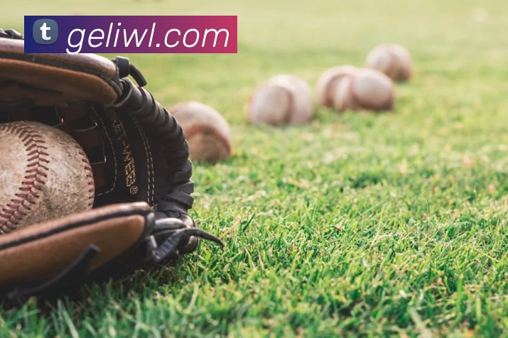 华体会体育平台生态图